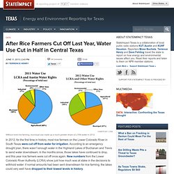 After Rice Farmers Cut Off Last Year, Water Use Cut in Half in Central Texas