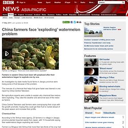China farmers face 'exploding' watermelon problem