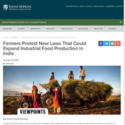 Farmers Protest New Laws That Could Expand Industrial Food Production in India - Johns Hopkins Center for a Livable Future
