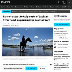 Farmers start to tally costs of Lachlan River flood, as peak moves downstream
