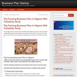 Pig Farming Business Plan In Nigeria With Feasibility Study