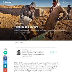 Farming the Sahara