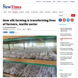 How silk farming is transforming lives of farmers, textile sector