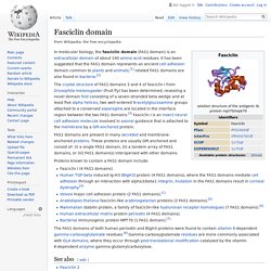 Fasciclin domain
