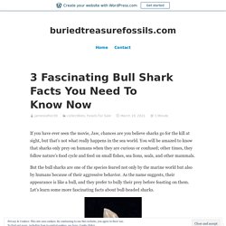 Know the Bull Shark Facts