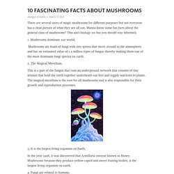 10 FASCINATING FACTS ABOUT MUSHROOMS – Telegraph