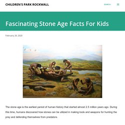 Fascinating Stone Age Facts For Kids