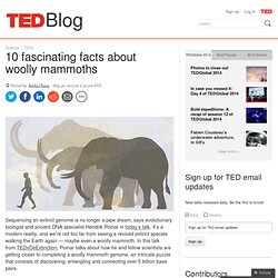 10 fascinating facts about woolly mammoths