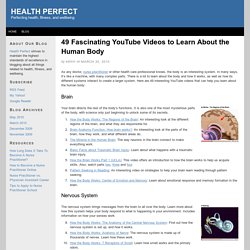 49 Fascinating YouTube Videos to Learn About the Human Body