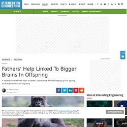 Fathers' Help Linked To Bigger Brains In Offspring