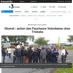 Glomel : action des Faucheurs Volontaires chez Triskalia - France 3 Bretagne