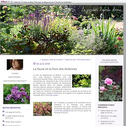 La faune et la flore des Ardennes : Le jardin Sainte Anne