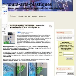 Petite invasion faussement naturelle dans la salle d'arts plastiques 3e