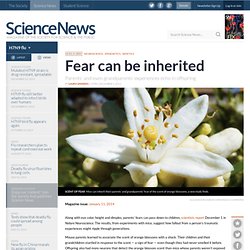 Fear can be inherited