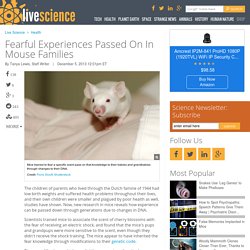 Fearful Experiences Passed On In Mouse Families