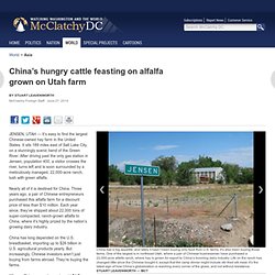 JENSEN, Utah: China’s hungry cattle feasting on alfalfa grown on Utah farm