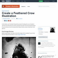 Create a Feathered Crow Illustration