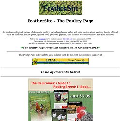 The Poultry Page