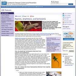 CDC - Reptiles and Salmonella