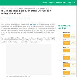 FED là gì? Thông tin quan trọng về FED bạn không nên bỏ qua
