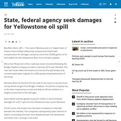 State, federal agency seek damages for Yellowstone oil spill