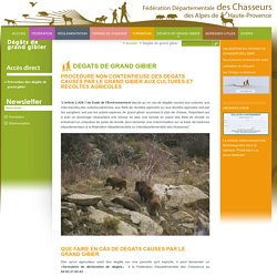 Dégâts de grand gibier, Federation Départementale des chasseurs des Alpes de Haute Provence