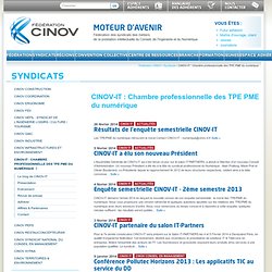CINOV-IT : Chambre professionnelle des TPE PME du numérique