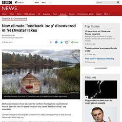 New climate 'feedback loop' discovered in freshwater lakes