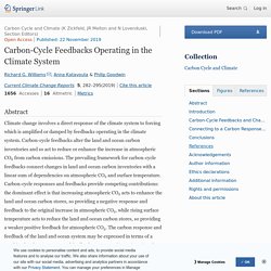 Carbon-Cycle Feedbacks Operating in the Climate System