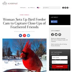 Bird Feeder Camera Captures Fascinating Close-Ups of Birds Eating