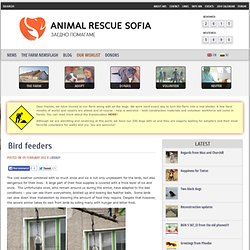  Animal Rescue Sofia