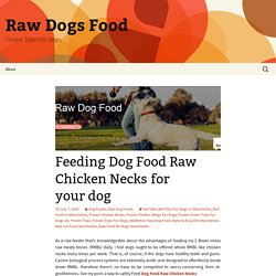 Feeding Dog Food Raw Chicken Necks for your dog