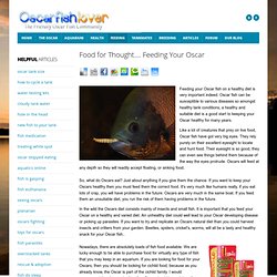 Feeding Your Oscar Fish - What Foods Are Suitable for the Oscar
