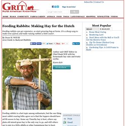 Feeding Rabbits: Making Hay for the Hutch - Animals