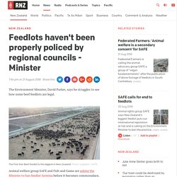 Feedlots haven't been properly policed by regional councils - Minister