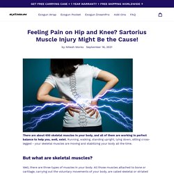 Feeling Pain on Hip and Knee? Exogun