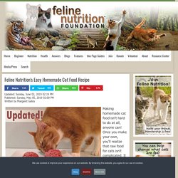 Feline Nutrition's Easy Homemade Cat Food Recipe
