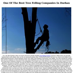 Tree Felling Durban: Professional Tree Services Company