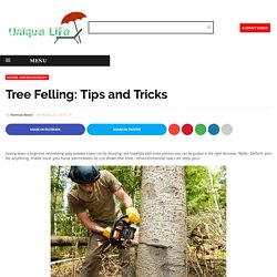 Tree Felling: Tips and Tricks - A Unique Life Magazine