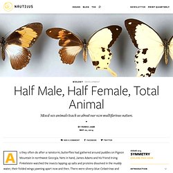 Half Male, Half Female, Total Animal - Issue 13: Symmetry