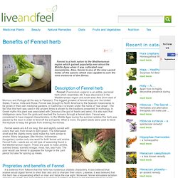 Health benefits of fennel