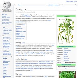 Fenugreek