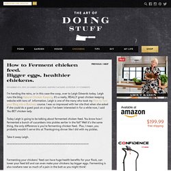 How to Ferment chicken feed.Bigger eggs, healthier chickens.