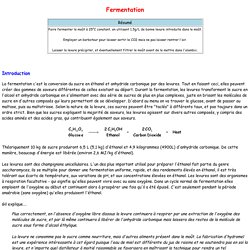 Fermentation