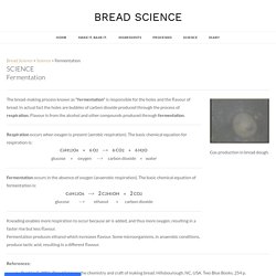 Fermentation - BREAD SCIENCE