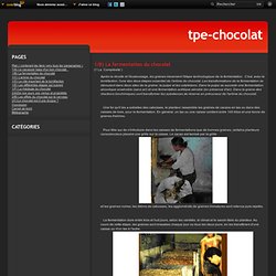 1/B) La fermentation du chocolat - La science du chocolat