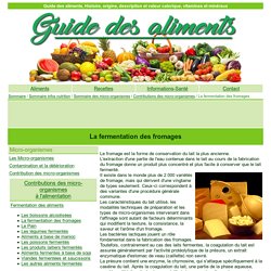 La fermentation des fromages - Contributions des micro-organismes à l'alimentation