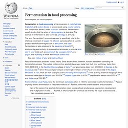 Fermentation (food)
