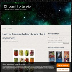 Lacto-fermentation (recette à imprimer) - Chouette la vie