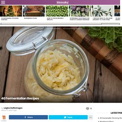 40 Fermentation Recipes